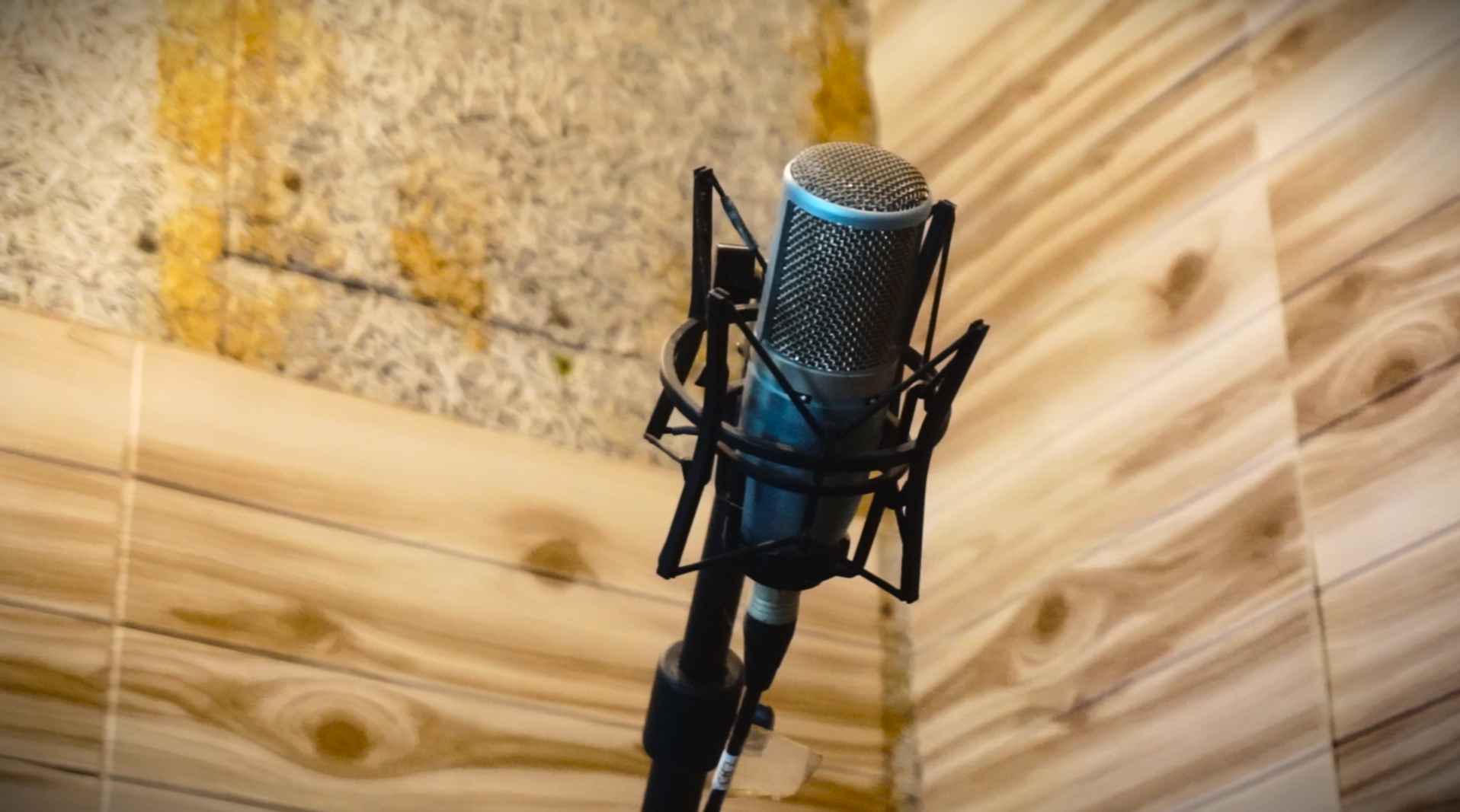 Acoustic Treatment